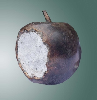 pomme entamée - BRONZES CREUX