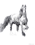 Elegance - ANIMAUX
