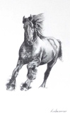 Frison 2 - ANIMAUX