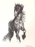 Frison 3 - ANIMAUX