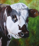 patrick-lebeurrier - ANIMAUX