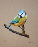 patrick-lebeurrier - ANIMAUX