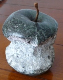 Trognon de pomme - PIERRE