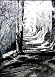 patrick-lebeurrier - PAYSAGES